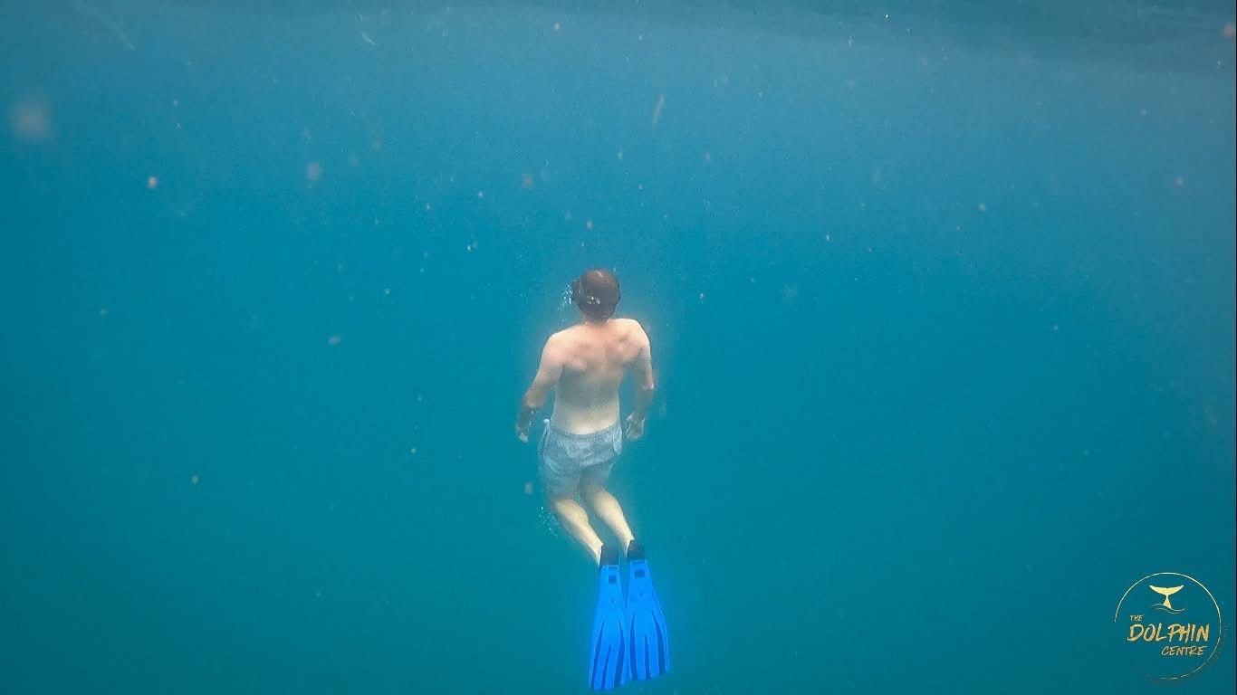 3423f815-c747-4565-8e6a-ea7475e45836