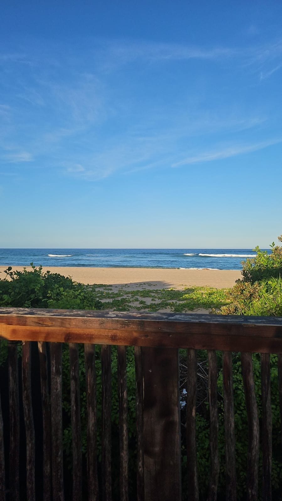 40c2edb4-a5d4-4e58-a540-c391b1884ebf