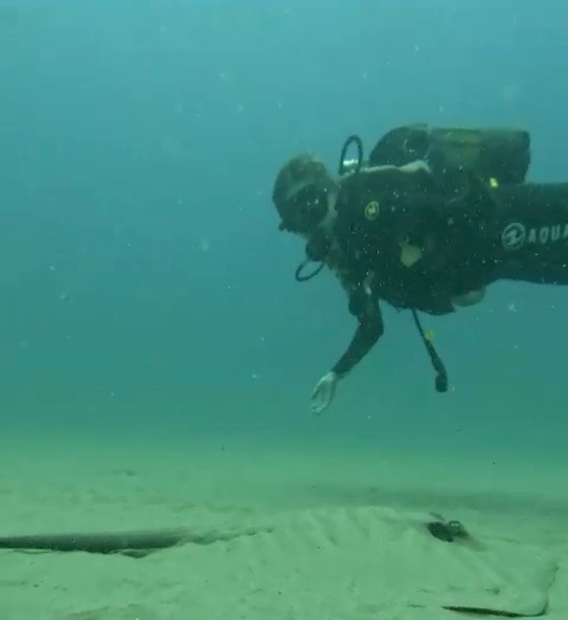 46a2a08f-3729-4071-bfa1-6b79aadebc7a