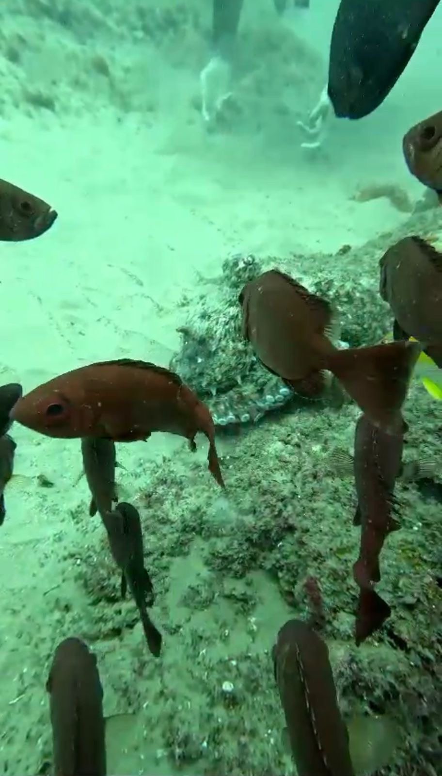 6531579d-0716-418a-8a9c-37df8eaade1b