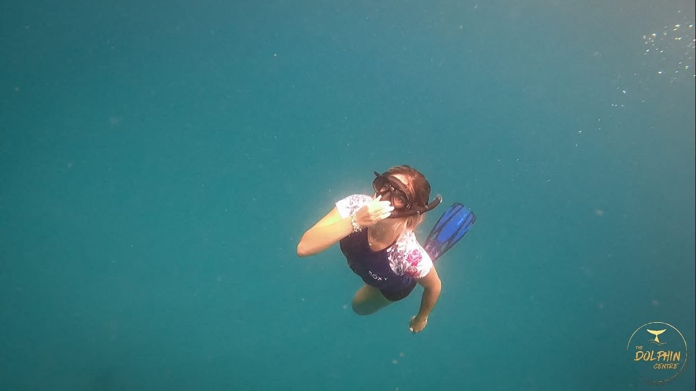 dd238871-02dd-4743-a266-77f15596bb20